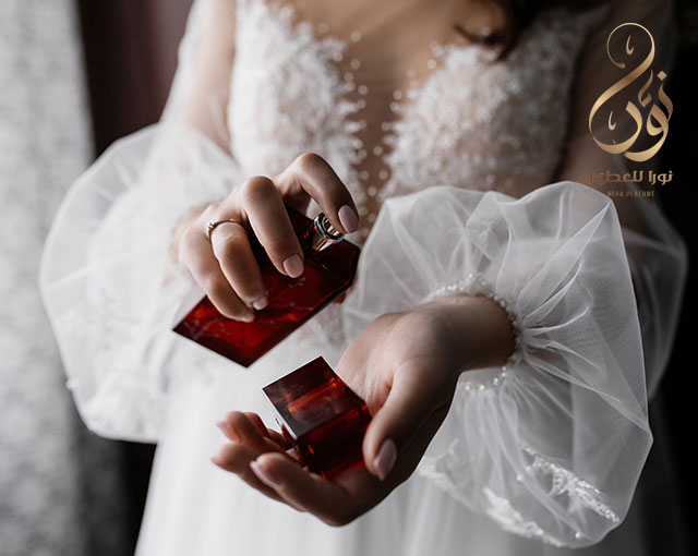 Top 10 Perfumes for Women in UAE