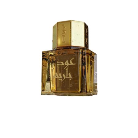 عود باريس